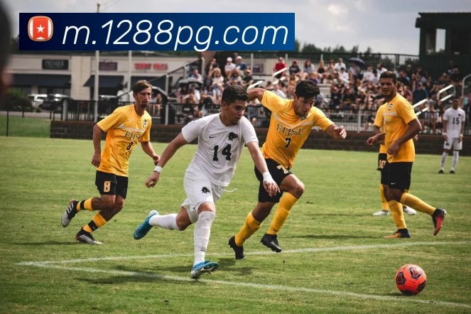 pg官网APP 体育赛事宣传图